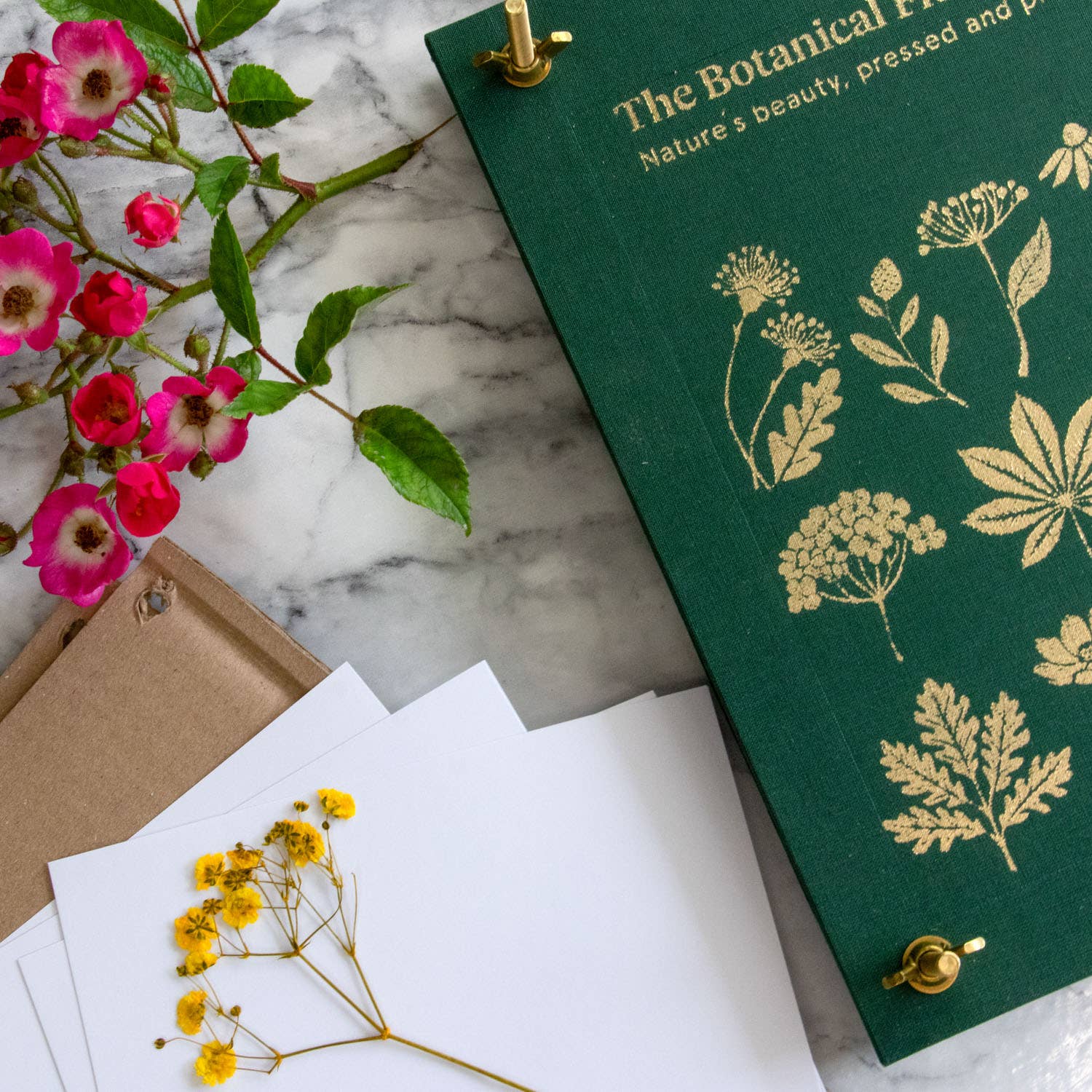 Botanopia - gifts , decor and cards for plant lovers - Wholesale DIY Craft Kit - The Botanical Flower Press – Linen Cover & Gold Foil4