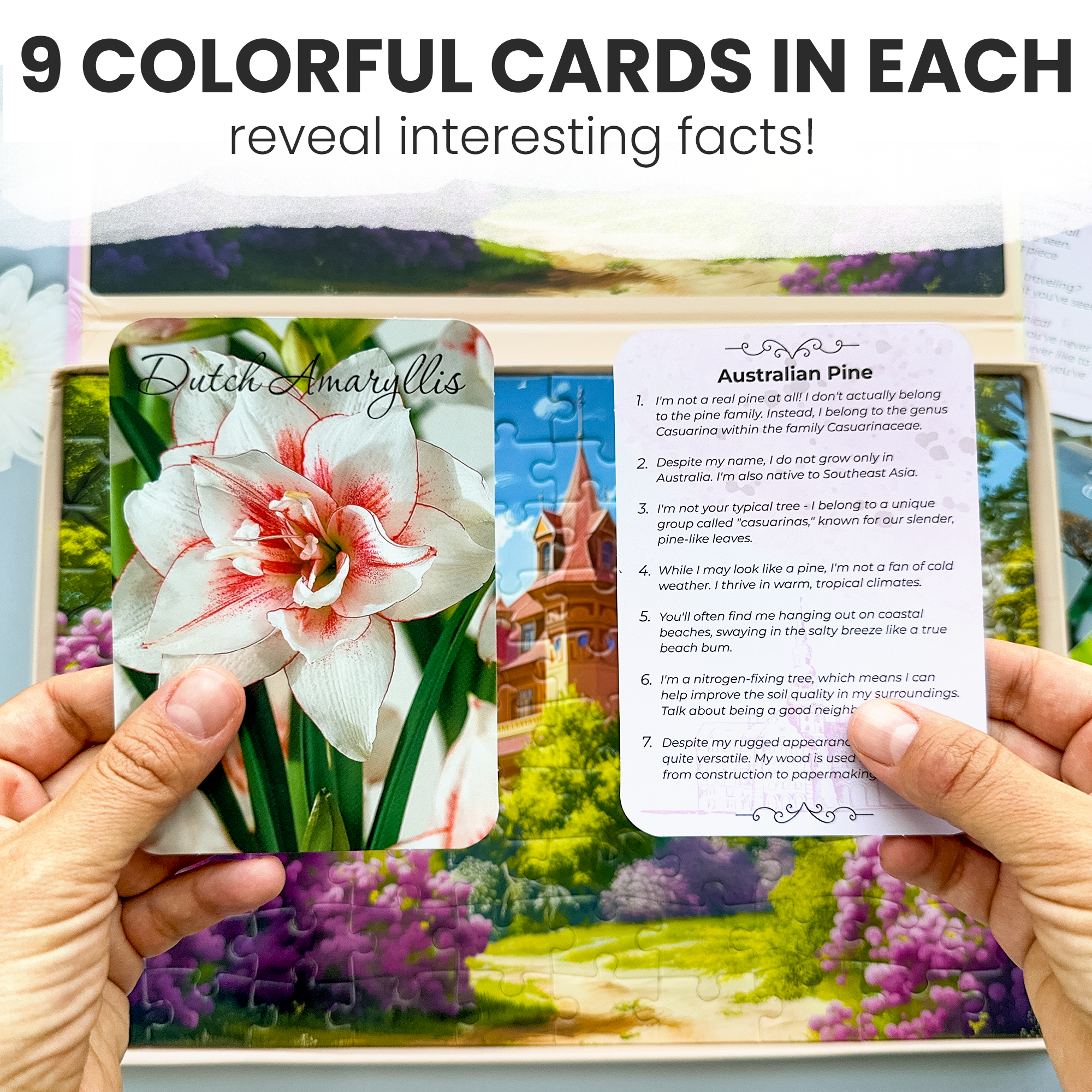 QUOKKA - Wholesale Puzzle - Adult - Dementia Puzzles for Elderly with cards | 3xSET2