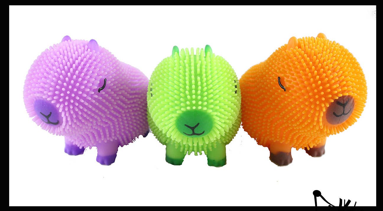 Curious Minds Toys – wholesale Mjuk leksak - Barn och baby – 1 Capybara Puffer luftfyllda pressspänningsbollar - stora R9