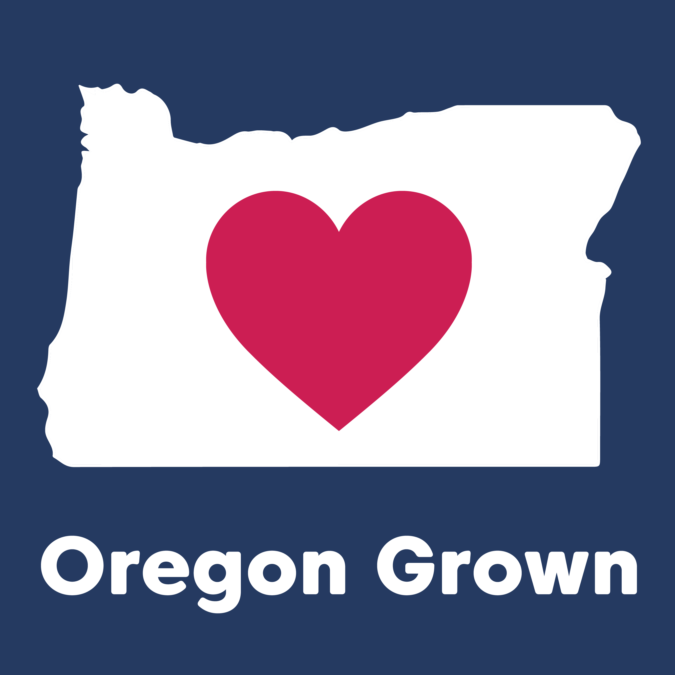 Wilderness Poets - Wholesale Dried/Dehydrated Fruit - Oregon Blueberries2