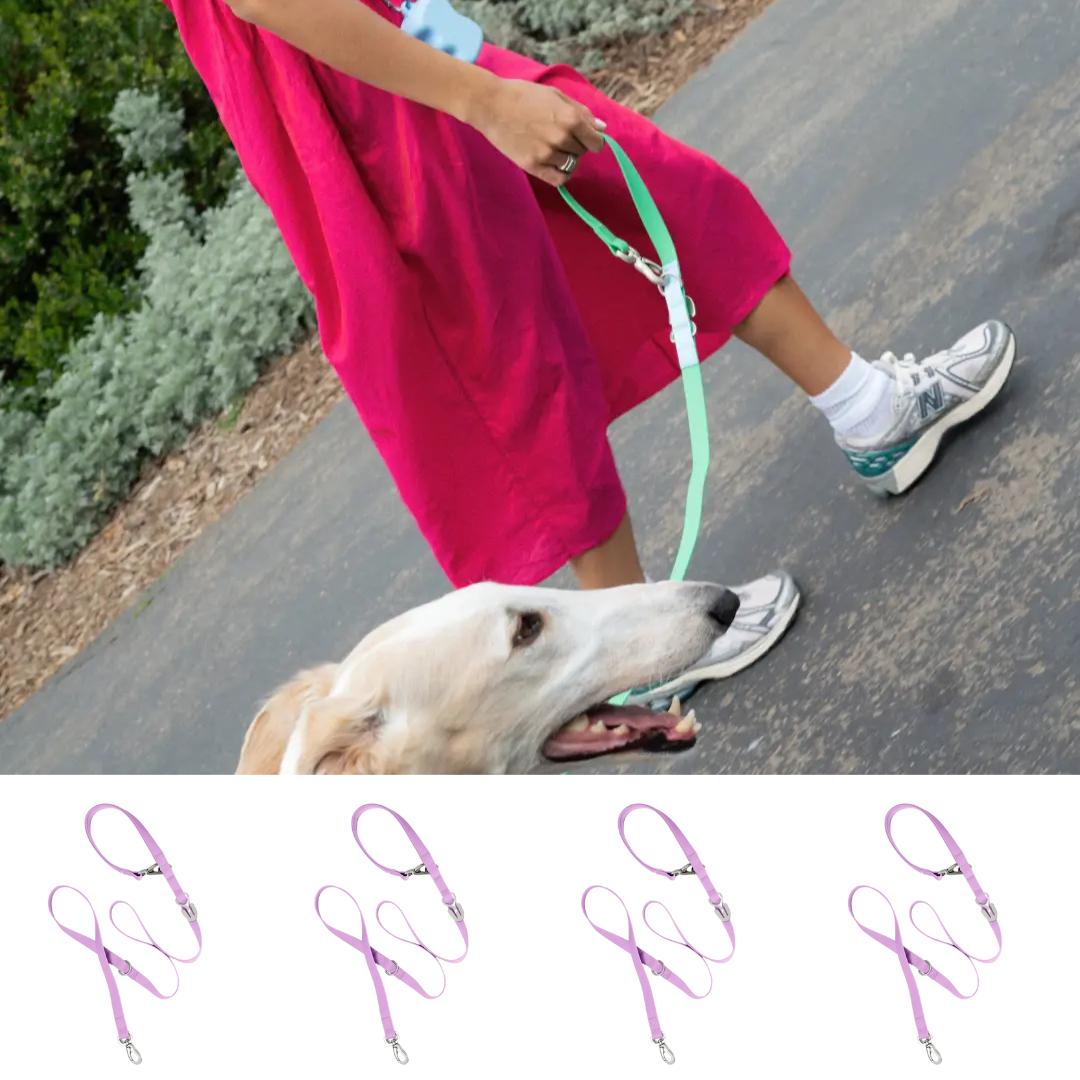 Springland Pets - Wholesale Pet Leash - Dog - Waterproof City Dog Leash, Short Dog Leash (4 Pack)0