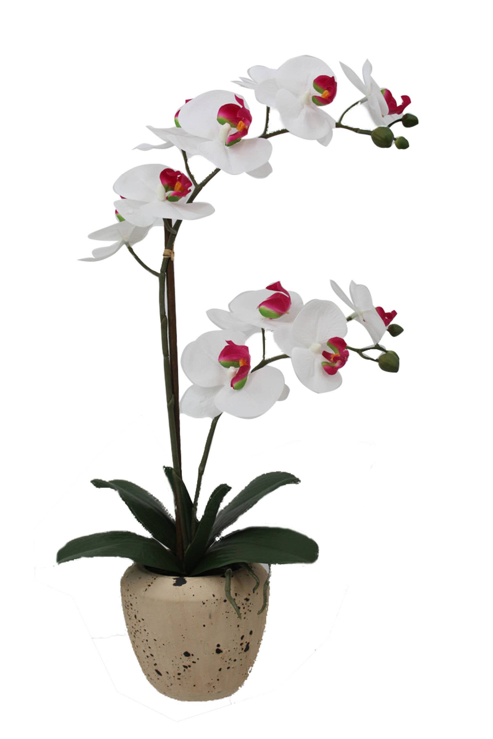 White Pink Mikasa 22in White/Pink Artificial Orchid in Speckled Rounded for wholesale on Faire1