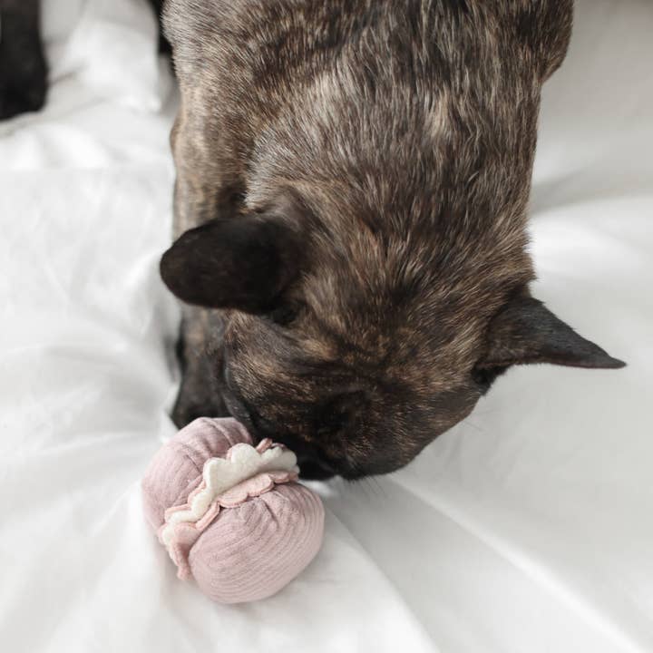 Lambwolf Collective – Großhandel Haustierspielzeugset – Hund – PETITE TWO/ENRICHMENT HUNDESPIELZEUG7