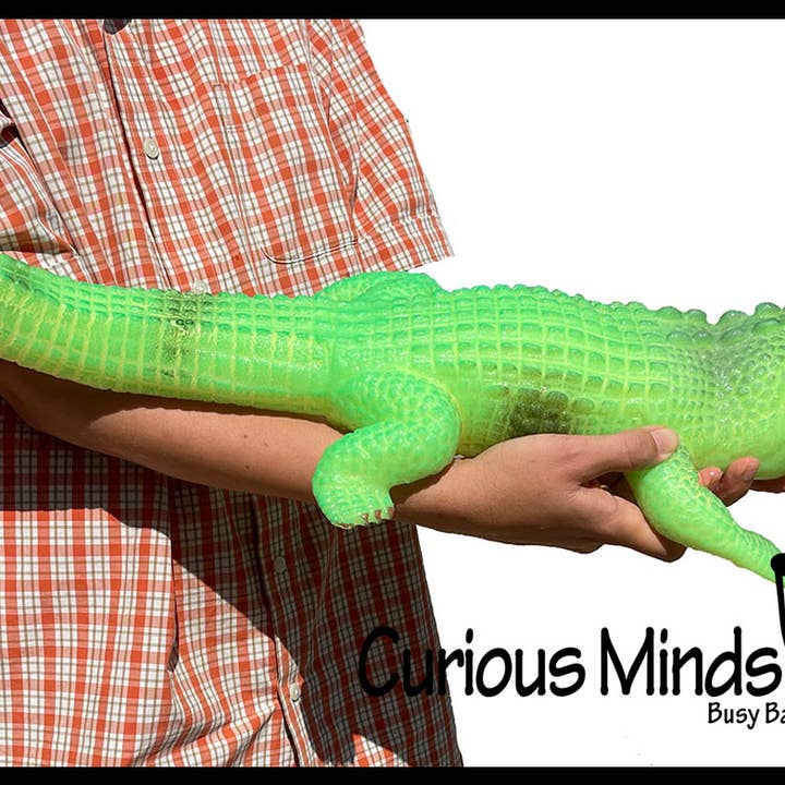 1 Jumbo Faites pousser un alligator dans l'eau - Ajoutez de l'eau et il pousse jusqu'à pour la vente par Curious Minds Toys