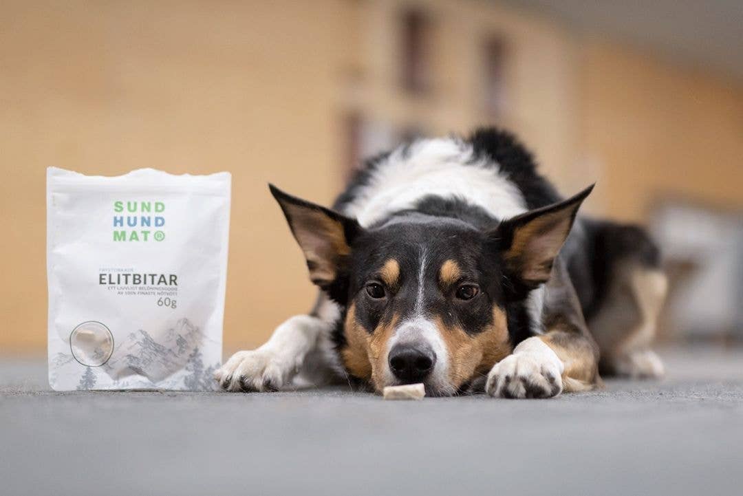 Sund Hundmat - Wholesale Pet Treats - Dog - Freeze-dried Elite pieces 60g3