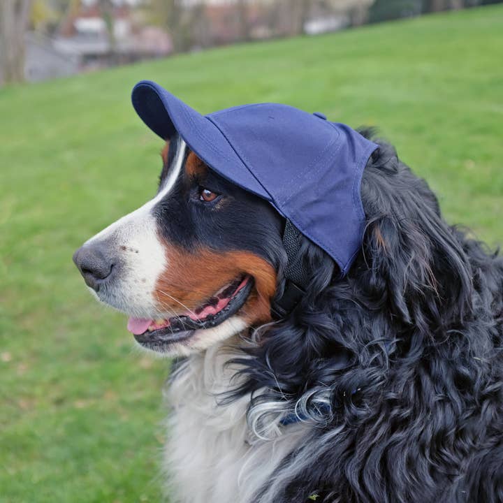 Little Earth Productions - Wholesale Pet Hat - Dog - MLB New York Yankees Pet Baseball Hat