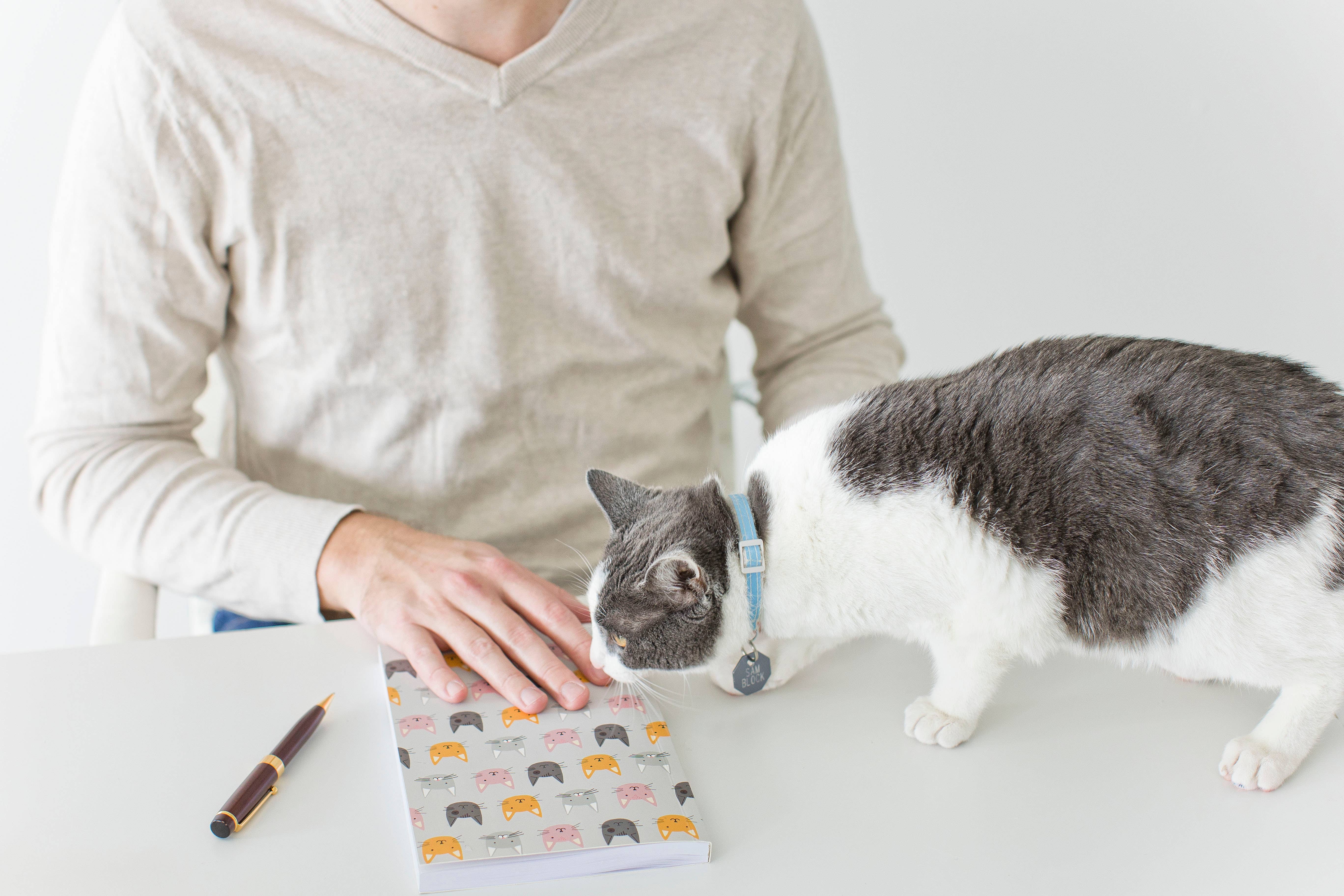 Pearhead - Wholesale Journal/Diary - Multi Cat Decorative Journal5