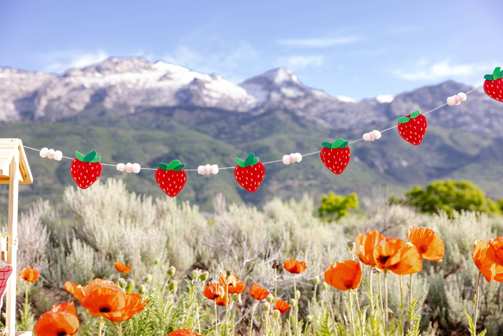 My Mind’s Eye - Wholesale Party sign/banner - STW1102 - Felt Strawberry Banner1