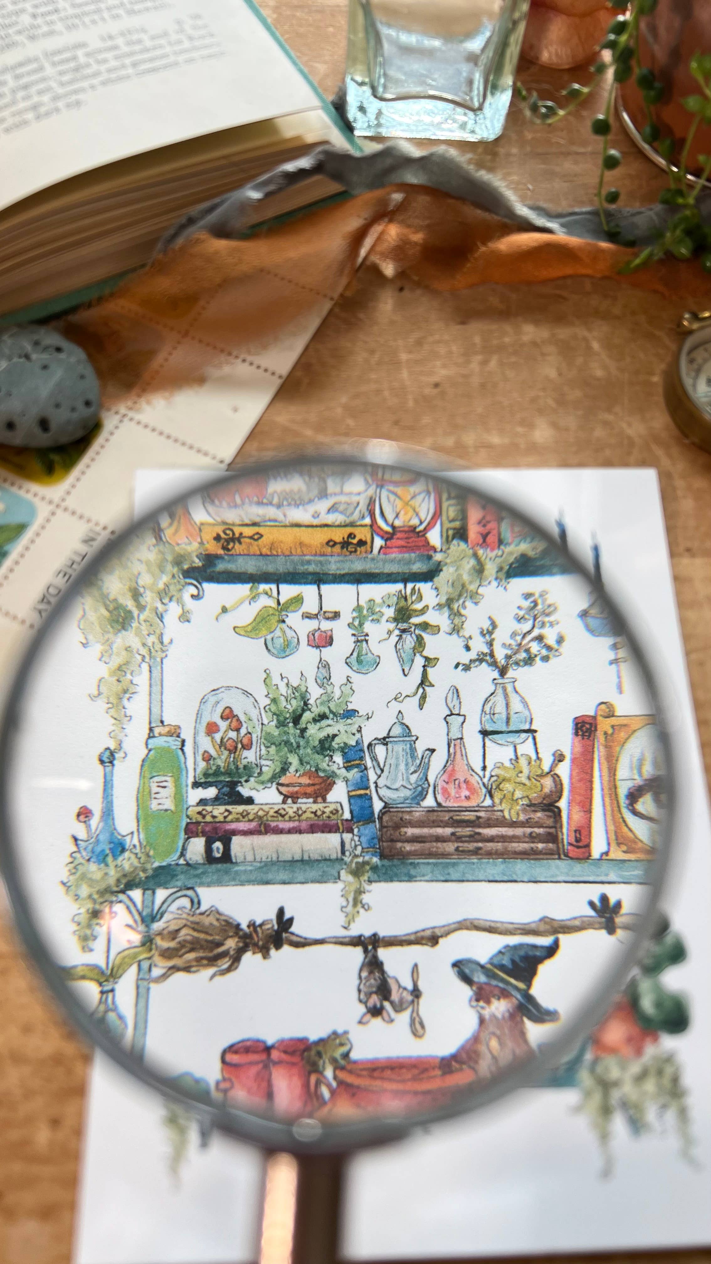 Lizzy Gass - Wholesale Postcard - The Swamp Witch's Shelves Postcard4