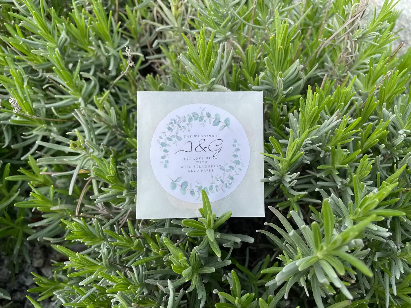 The Highland Literary Co. - Wholesale Party Favor - Handmade & bespoke Scottish wild seed paper confetti favours6