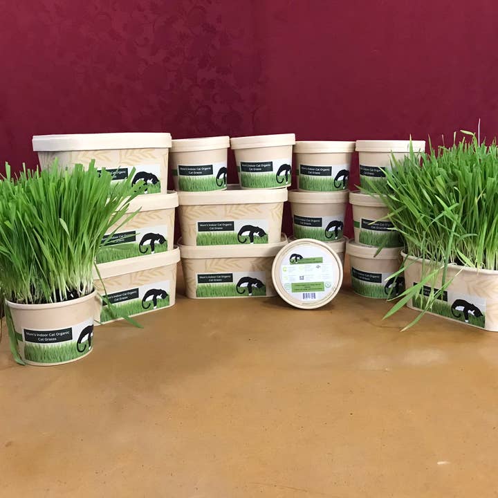 Eco-friendly cat grass kit combo pack for wholesale by Mom’s Indoor Cat