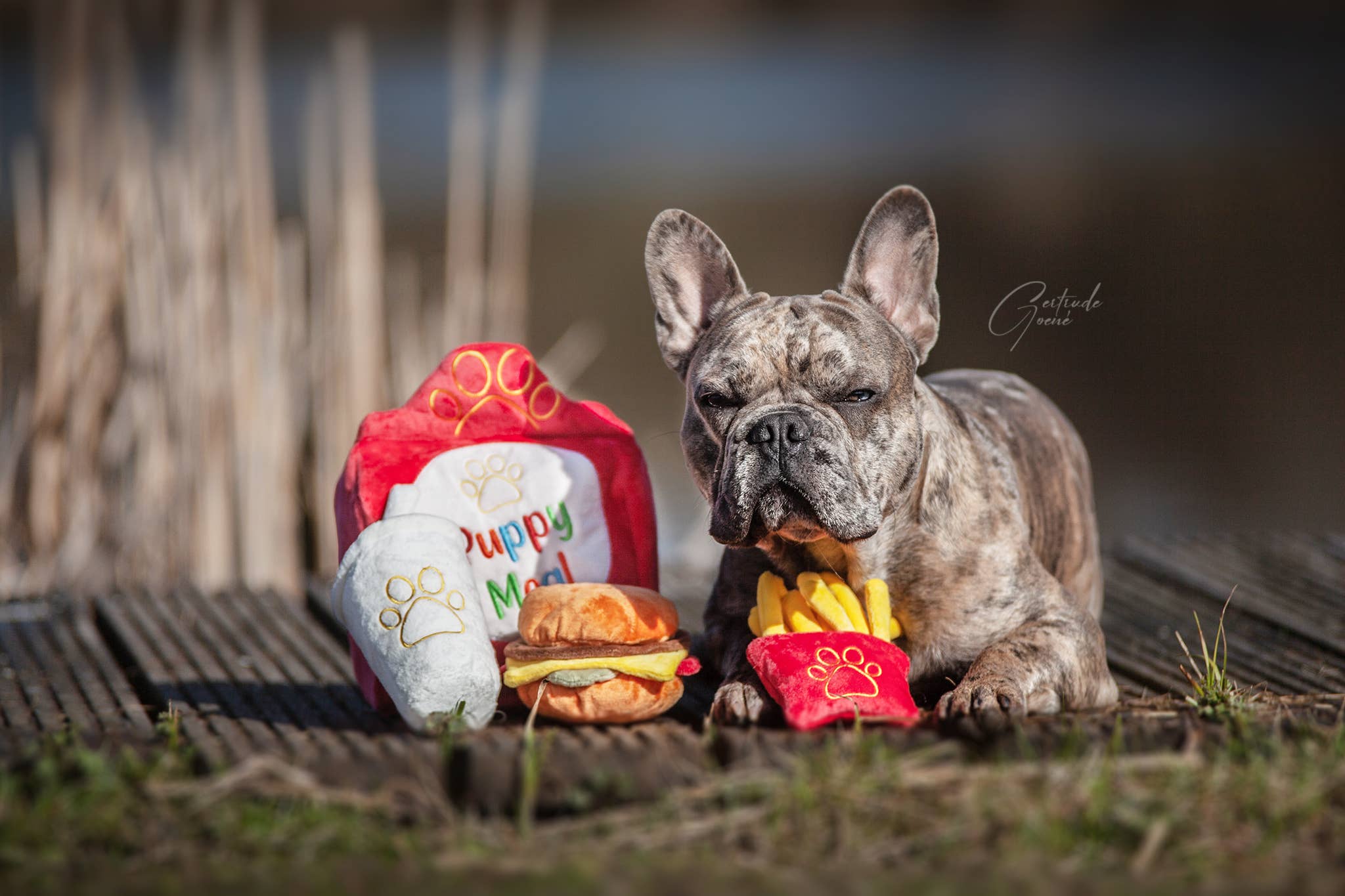 PawStory - Wholesale Pet Plush Toy - Dog - Snuffles - Big Puppy Meal 3-in-12