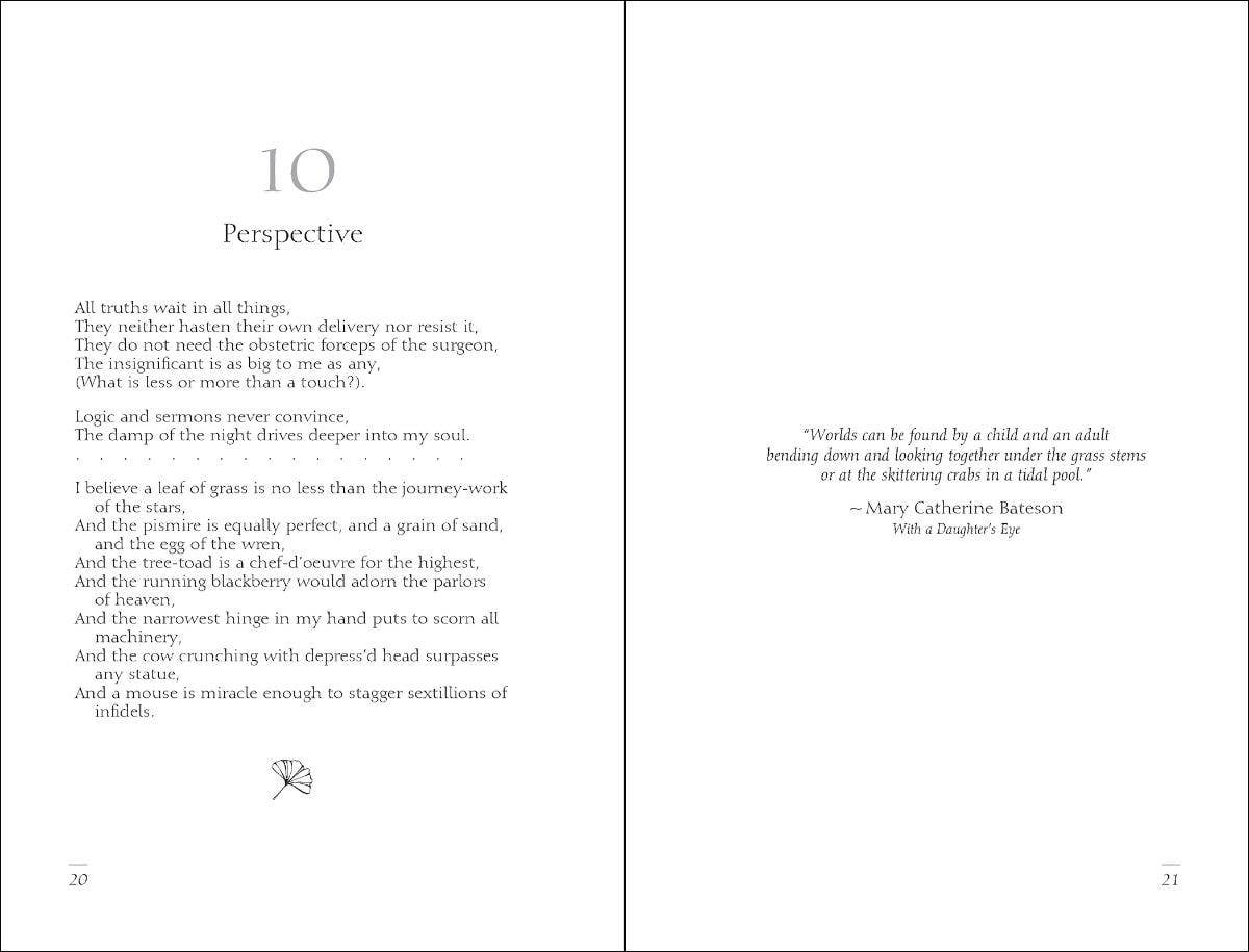 AdventureKEEN - Wholesale Poetry & Drama - Meditations of Walt Whitman3