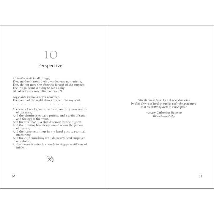 AdventureKEEN - Wholesale Poetry & Drama - Meditations of Walt Whitman3