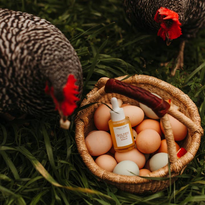 Urban Farm Apothecary & Urban Farm Cosmetics - Wholesale Facial Serum/Concentrate - Golden Yolk Serum3