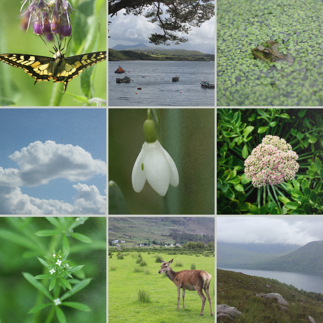 x The Fancy Firefly - Wholesale Art Print - Photography Prints - Selection from 40+ images in catalogue2