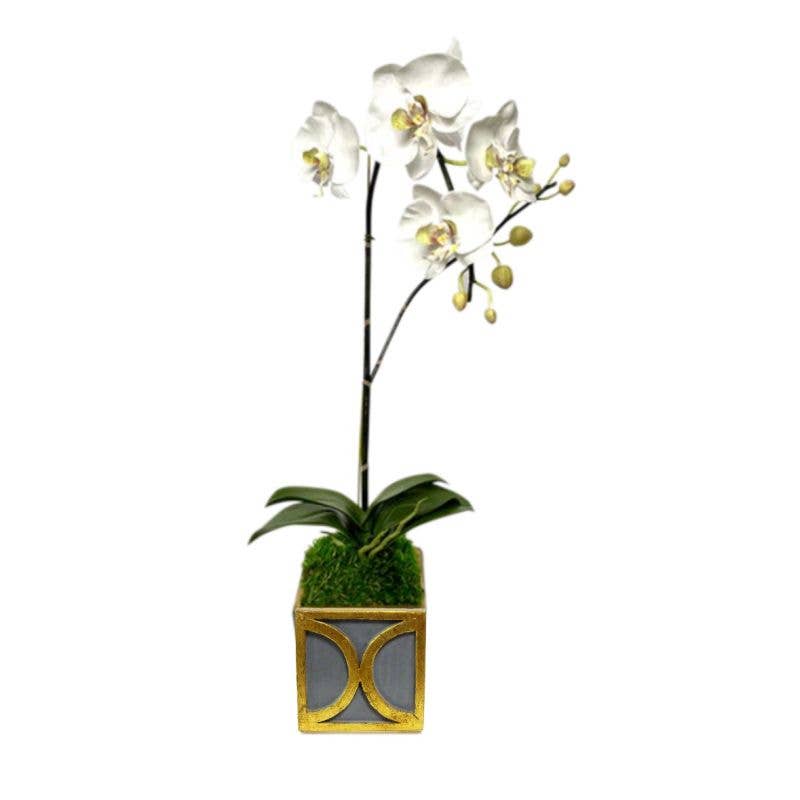 Bougainvillea – wholesale Artificial flowers – [WMSPO-DG-ORGR] Wooden Mini Square Container w/ Circle Dark Blue Grey w/ Gold - Orchid White & Green Artificial0