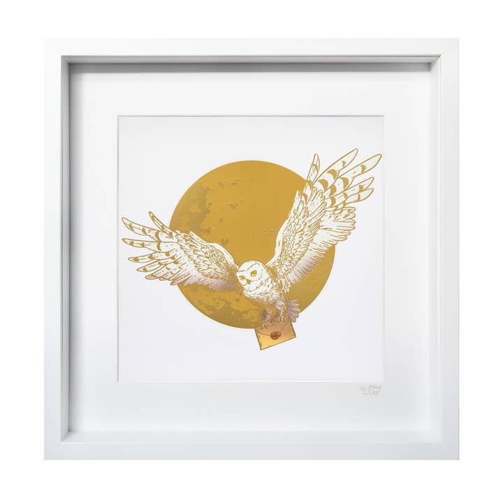 Grande opera d'arte di Harry Potter Hedwig per la vendita all'ingrosso da parte di Short Story