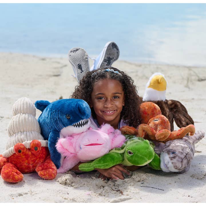 The Petting Zoo - Wholesale Stuffed/Plush Toy - Kids & Baby - Earth Keeperz Bald Eagle small 10" Recycled Plush3