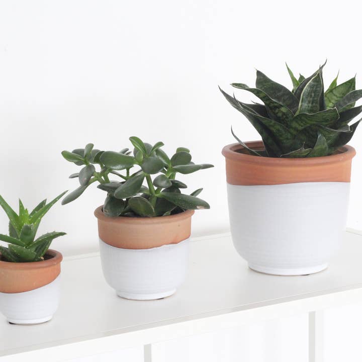 Small Terracotta and Matte White Boho Ceramic Planter Pot for wholesale by Sprout & About