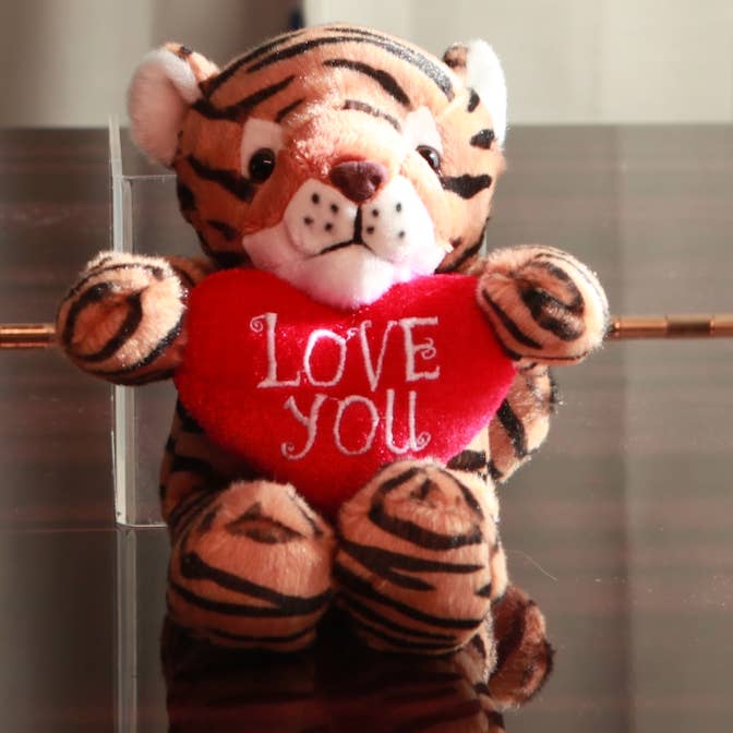 Plushland - Wholesale Stuffed/Plush Toy - Kids & Baby - Valentine plush animal with heart 8"