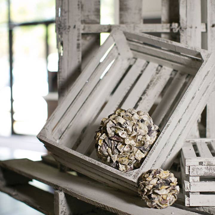 Auden & Avery - Wholesale Decorative Tabletop Object - Oyster Shell Balls2