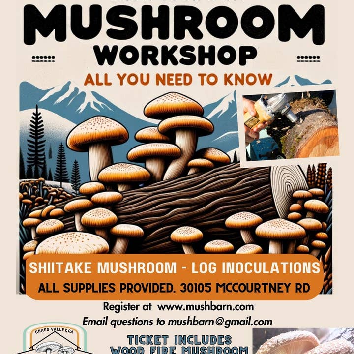2.18.24 Mushroom Workshop - Shiitake Log Inoculation - at Heartland Collective for wholesale by MushBarn