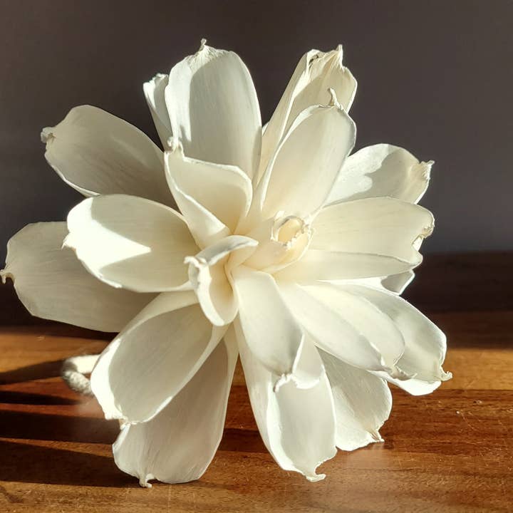 Diffuseur Solawood blanc fait main avec tige pour la vente par The Beehive Candle Company