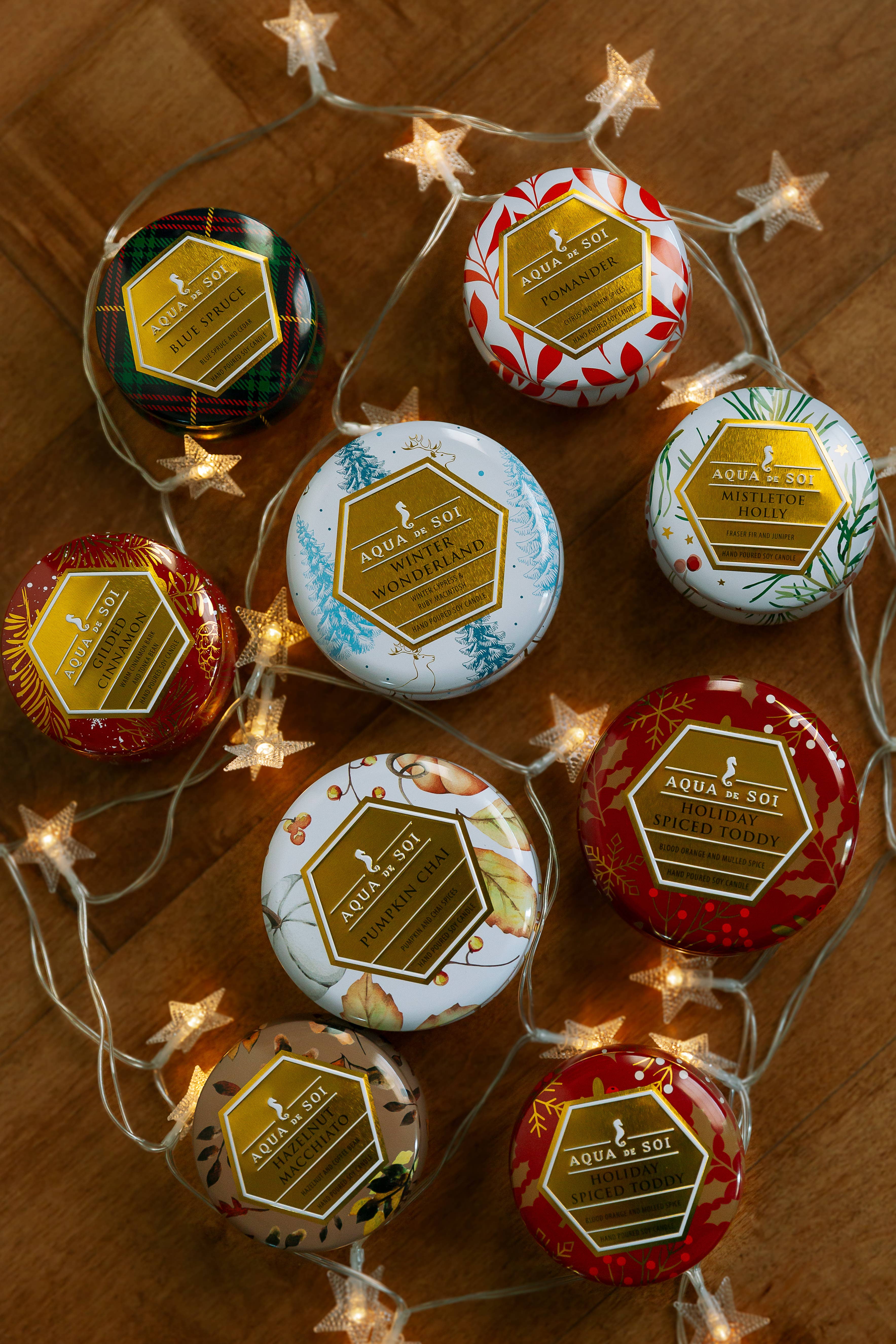 The SOi Company – Großhandel Reisekerzen – Blue Spruce Aqua De Soy Kerzendose, 9 Unzen1