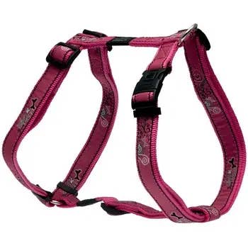 Pets One - Wholesale Pet Harness - Dog - Rogz Peitoral Beach Bum 20mm7