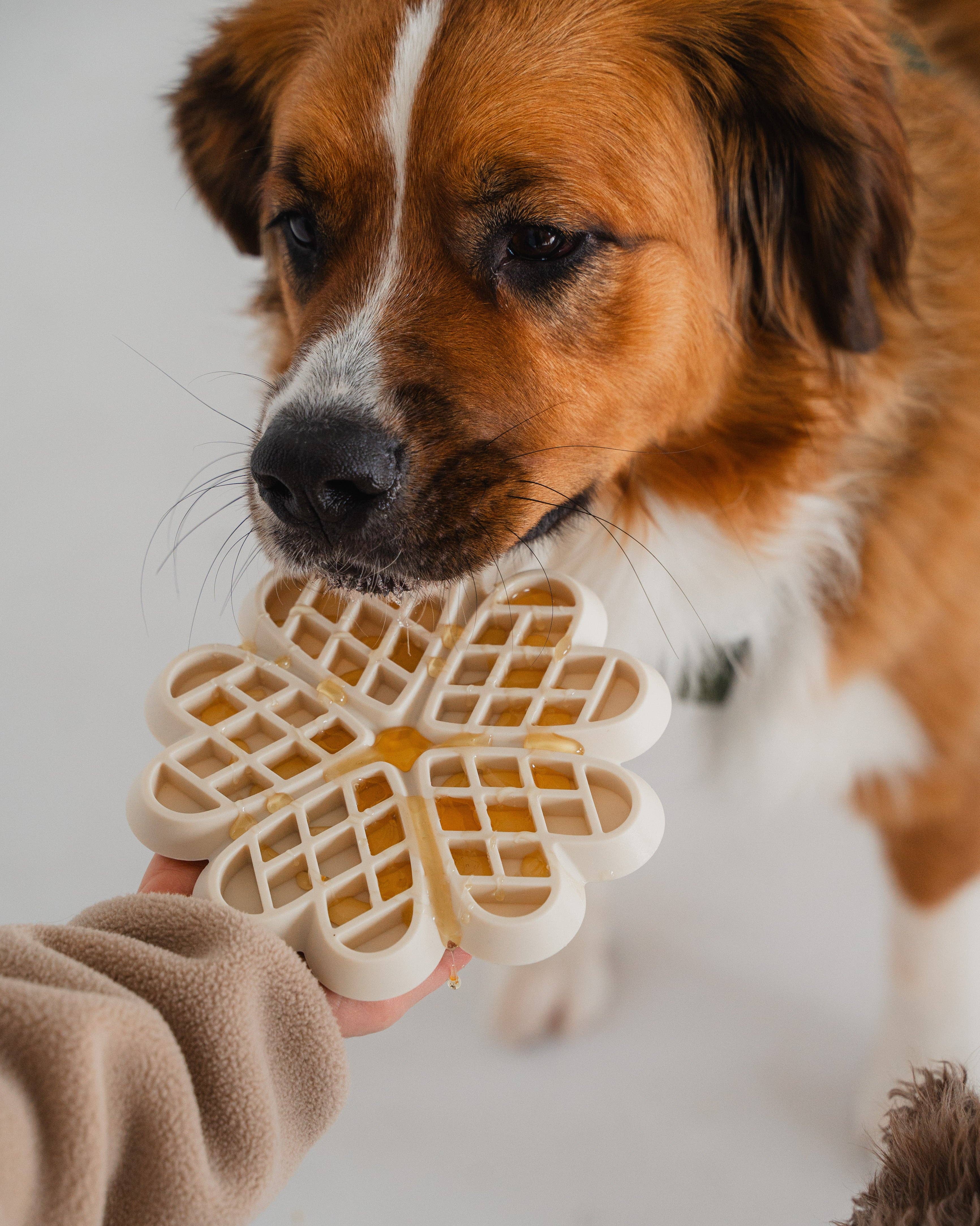 dexypaws - Wholesale Pet Bowl - Cat/Dog - Buttercream Hide and Seek Slow Feeder2