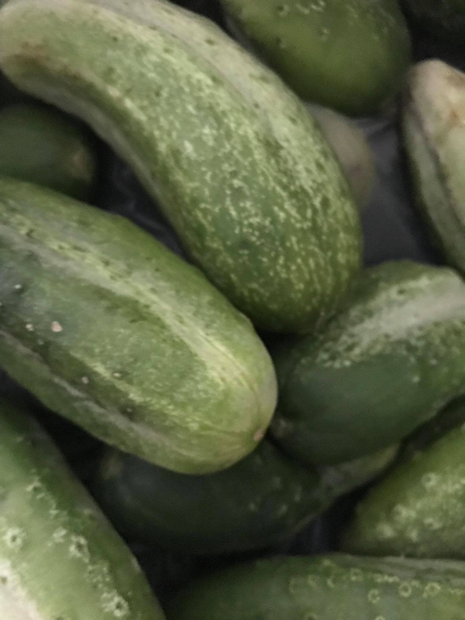 SnS Dips - Vente Mélanges d'épices séchées - Mélange de cornichons à l'aneth3