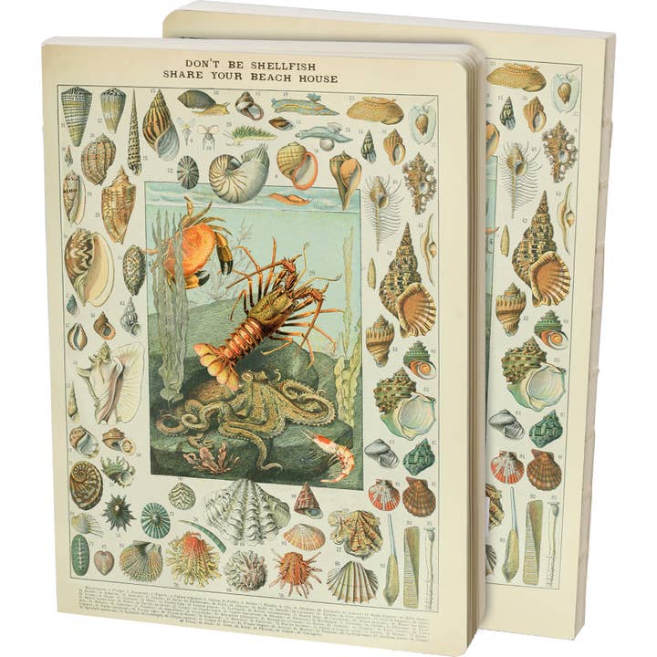 Primitives by Kathy - Wholesale Stationery/Notecard Set - Don't Be Shellfish Journal