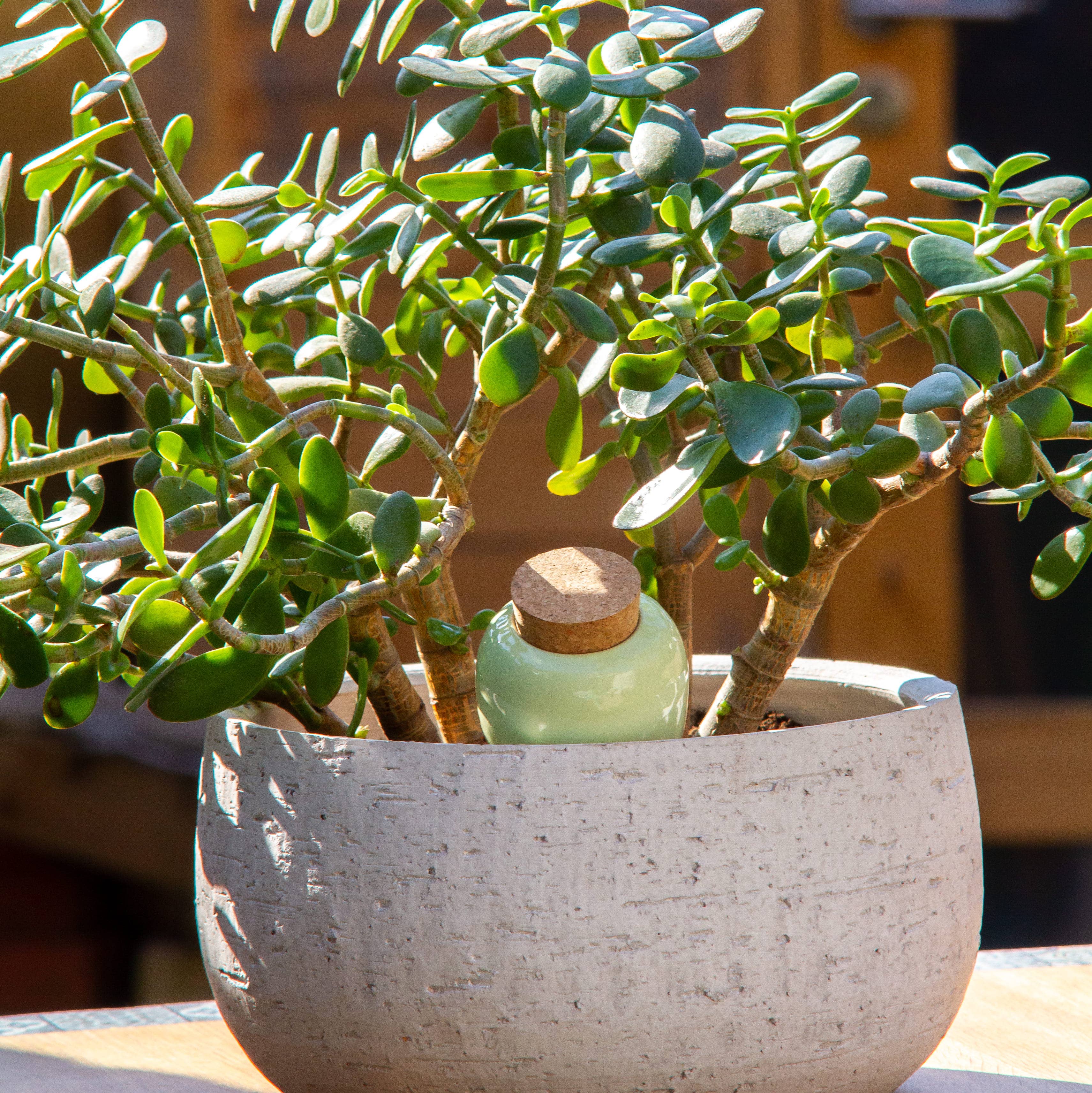 Pepin - Wholesale Plantenpot - Olla - groen1