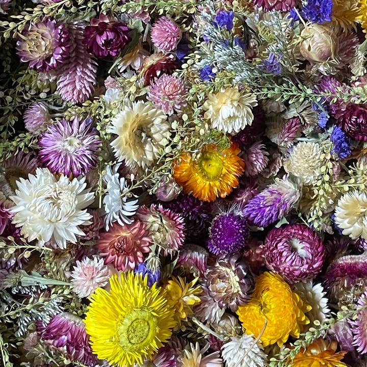 Right Side Hand – Großhandel Getrocknete/gepresste Blumen – Konfetti für getrocknete Blumen mit Blumenstaub