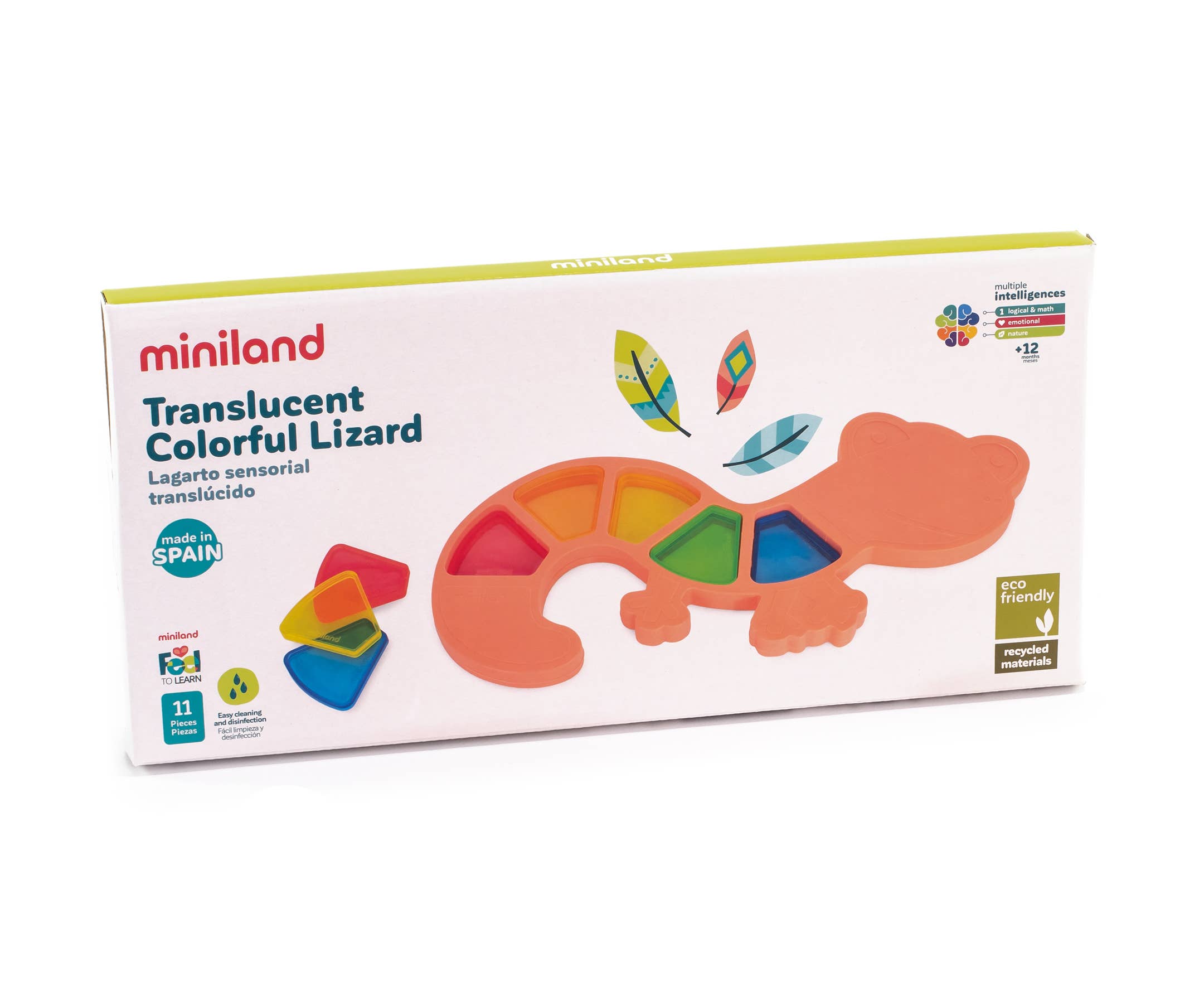 Miniland Educational - Wholesale Toy Set - Kids - Feel to Learn: Translucent colorful Lizard1