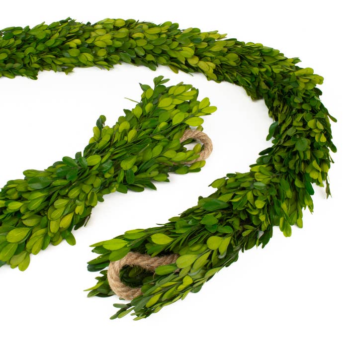 Mills Floral Company - Wholesale Bunting/Garland - Preserved Boxwood Country Manor Garland1