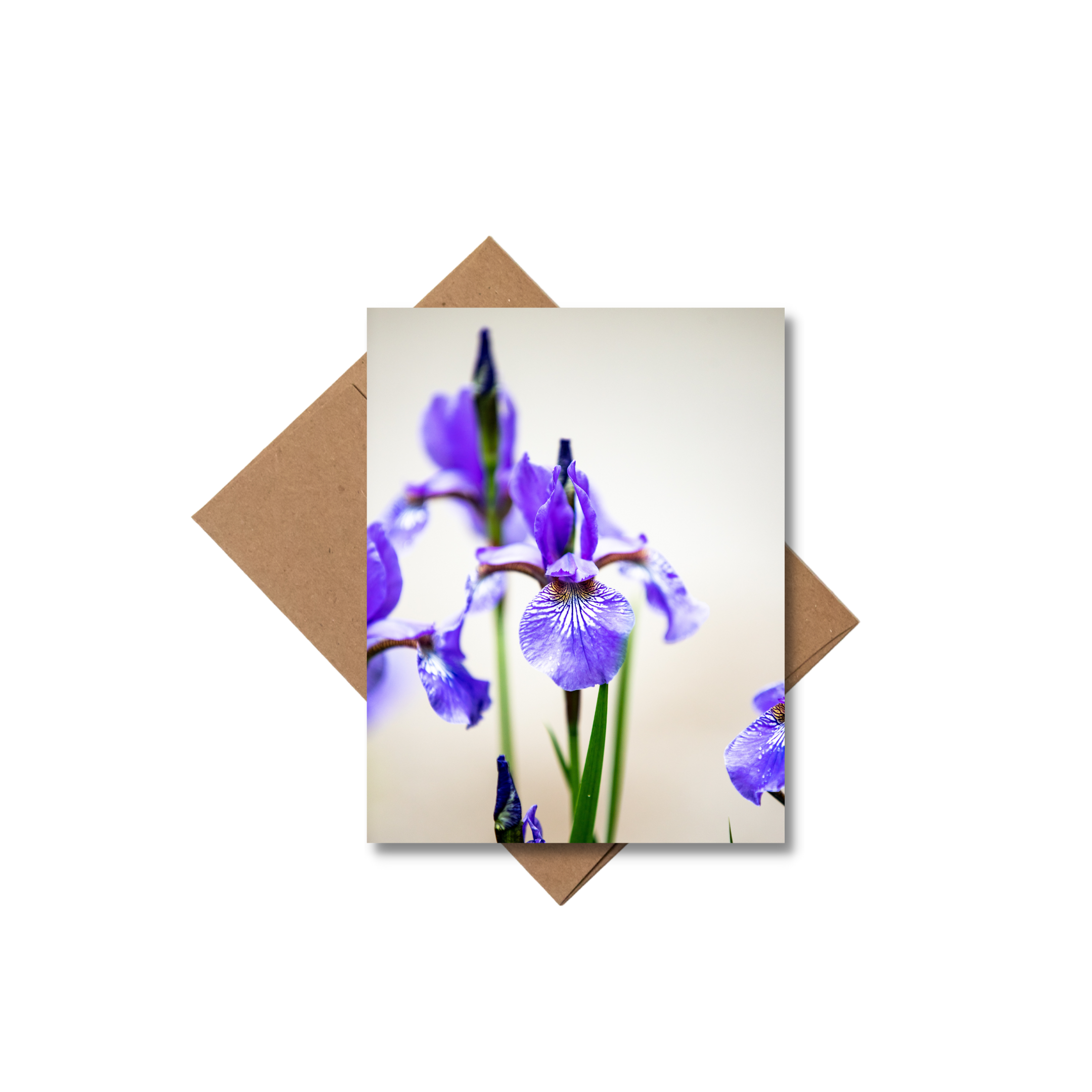 Andrea Morris Art - Wholesale Stationery/Notecard Set - Floral Card Variety Pack (5 Different Cards + Envelopes)3