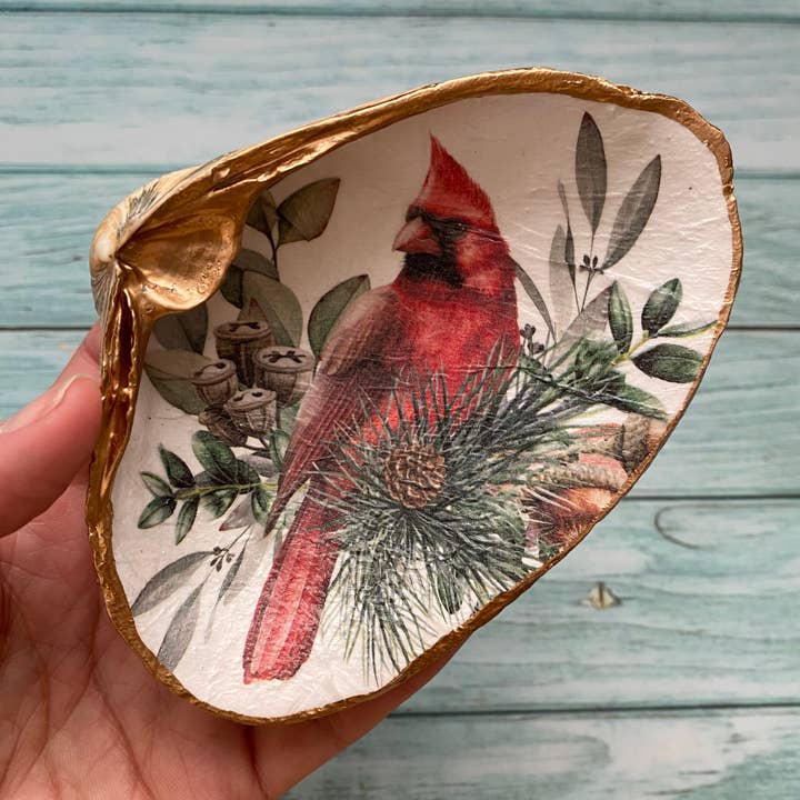 Coquille Cardinal pour la vente par Serenity Shells