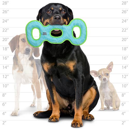 Tuffy Dog Toys - VIP Products - Wholesale Pet Squeaky Toy - Dog - DuraForce 3 Way Tug - Blue/Green, Durable, Squeaky Dog Toy5