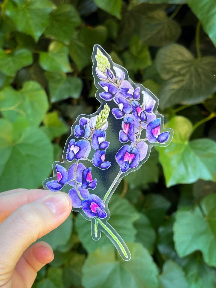 Lupine wildflower watercolor sticker for wholesale by Hannah Moore Art