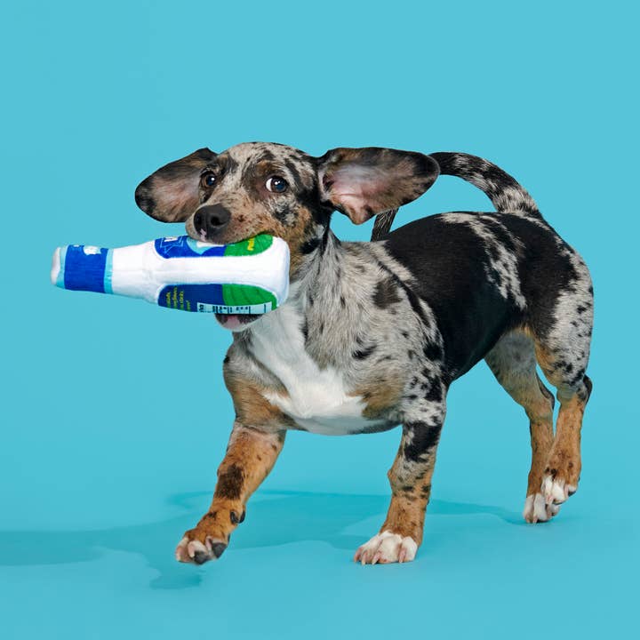 Pet Palette Distribution - Wholesale Pet Plush Toy - Dog - BARK Stinky Valley Ranch Plush Dog Toy S/M1