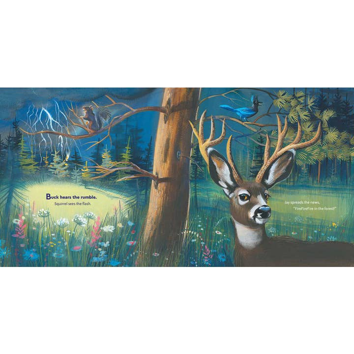 Simon & Schuster - Wholesale Preschool Book (3-5) - Wildfire! by Ashley Wolff2