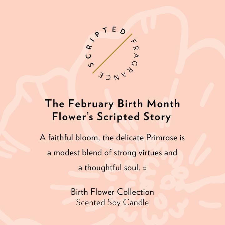 Scripted Fragrance - Wholesale Jar/Filled Candle - February Birth Flower Soy Candle6