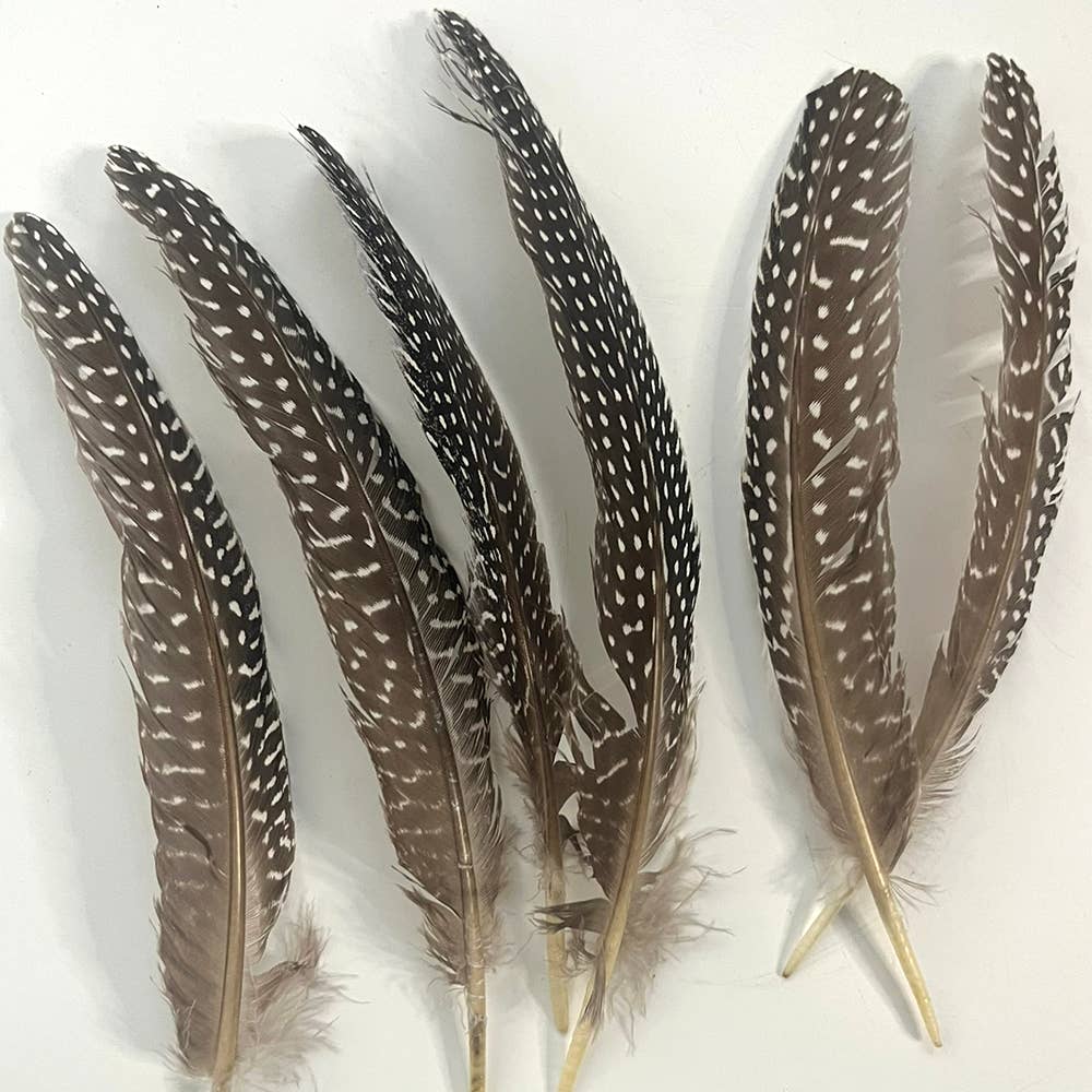 VIE – Großhandel Räucherbündel – Truthahnfeder, natur, 15-20 cm, einzeln3