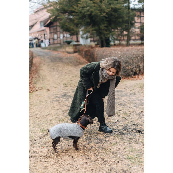 BAND&ROLL – Großhandel Kotbeutelspender – Leichter Hunde-Kotbeutelhalter aus gewachstem Canvas mit Lederapplikationen2