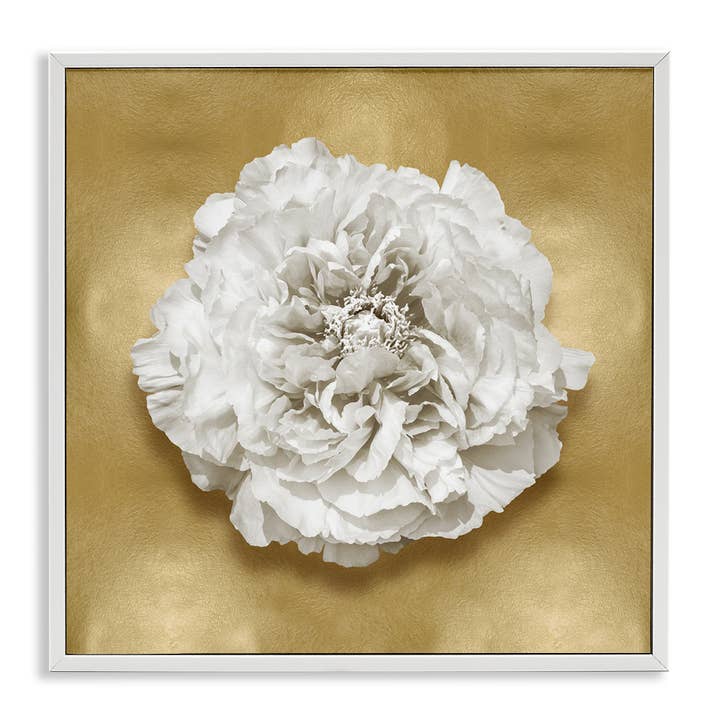 Stupell Industries - Wholesale Wall sign - Glam White Carnation - Framed Wall Art16