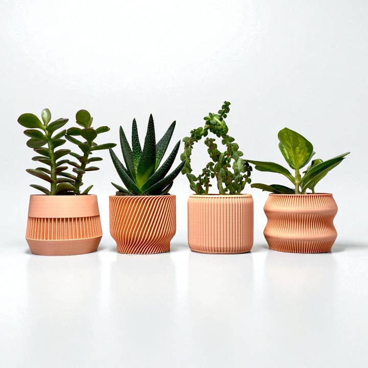 Lellume - Wholesale Plant Pot - Peach Succulent Planter 4 Set – Modern Small Plant Pots1