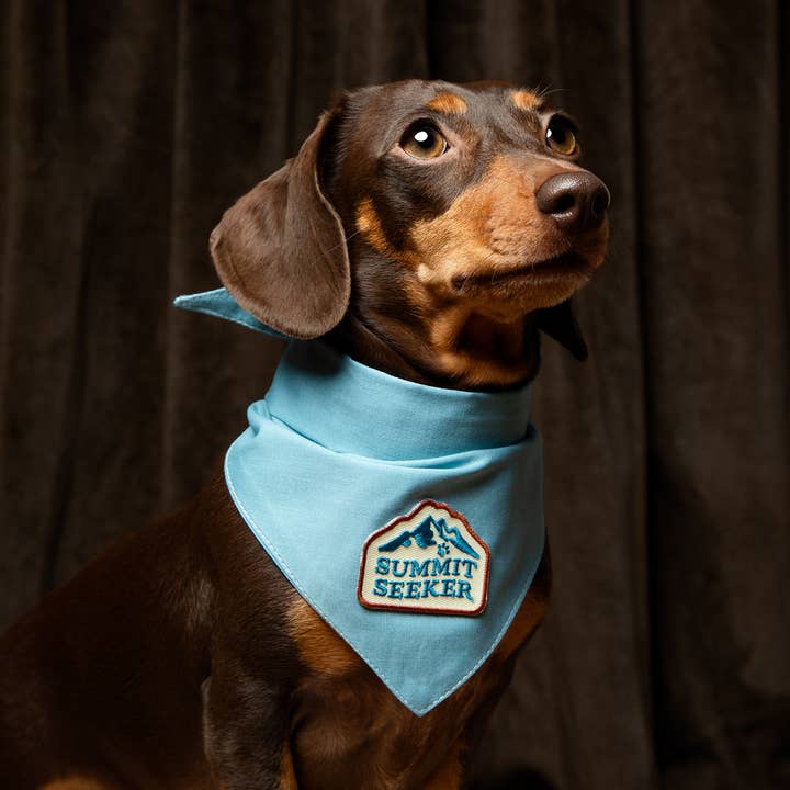 Scout's Honour Pty Ltd - Wholesale Pet bandana – Dog - Summit Seeker iron-on patch for dogs and cats1