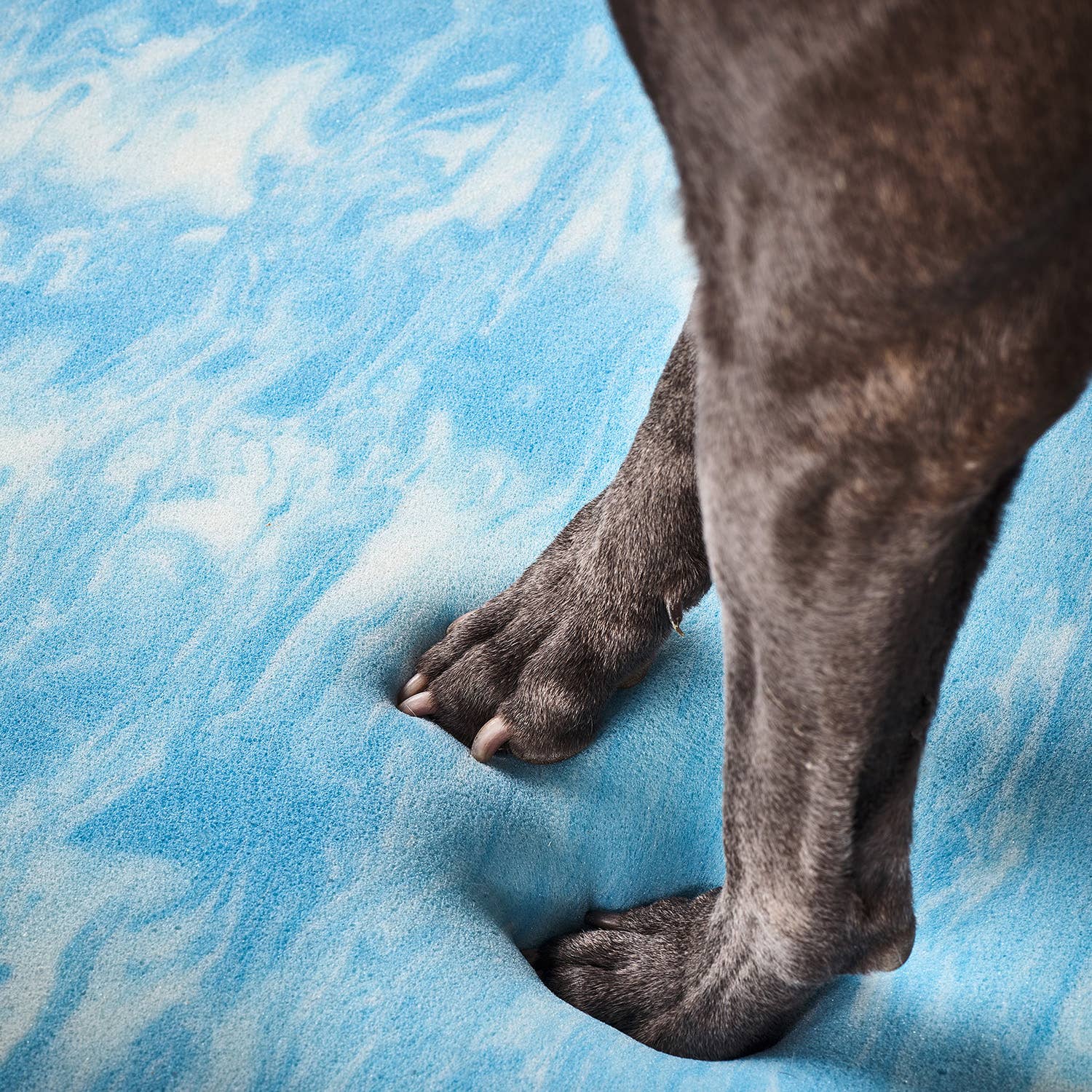 LABONI - Volentis GmbH - Wholesale Pet Bed - Cat/Dog - ORTHO PET BED SIENA18